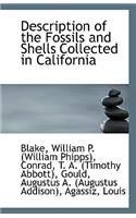 Description of the Fossils and Shells Collected in California