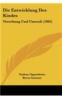 Die Entwicklung Des Kindes