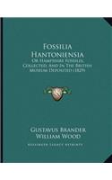 Fossilia Hantoniensia