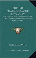 British Phaenogamous Botany V5: Or Figures And Descriptions Of The Genera Of British Flowering Plants (1840)(English)