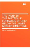 The Fauna of the Pottsville Formation of Ohio Below the Lower Mercer Limestone