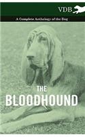 The Bloodhound - A Complete Anthology of the Dog -