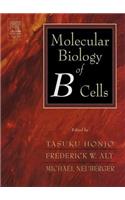 Molecular Biology of B Cells