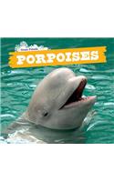 Porpoises