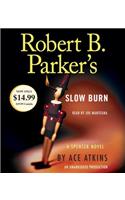 Robert B. Parker's Slow Burn