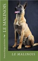 Malinois