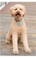 Labradoodle Dog Journal: 150 Page Lined Notebook/Diary