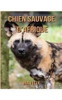 Chien Sauvage d'Afrique