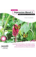 Foundation Expression Blend 2