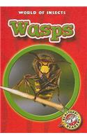 Wasps