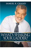 What's Shaking Your Ladder?