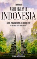 Brief History of Indonesia