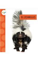 El Zorrillo (Skunks): (Animales del Patio)