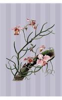 Meine Orchideensammlung: Liste Sammlung für deine Orchideen - Journal Notebook Sammlerbuch für Orchideenliebhaber Orchideensammler oder Orchideenkenner