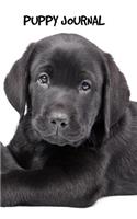 Puppy Journal: 6 x 9 inch dog notebook, Labrador Retriever, Black Labrador, graph paper, puppy notebook, 200 pages