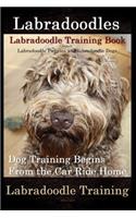 Labradoodles, Labradoodle Training Book for Both Labradoodle Dogs & Labradoodle Puppies By D!G THIS Dog Training: Dog Training Begins From the Car Ride home Labradoodle Training