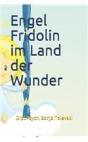 Engel Fridolin im Land der Wunder