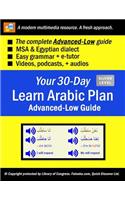 Your 30-Day Learn Arabic Plan (Advanced-Low Guide): Multimedia + E-Tutor by Falooka.