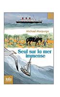 Seul Sur La Mer Immense