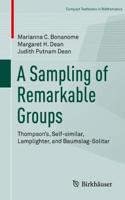 Sampling of Remarkable Groups