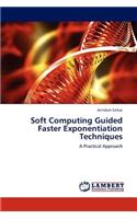 Soft Computing Guided Faster Exponentiation Techniques