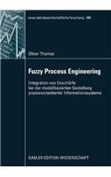 Fuzzy Process Engineering