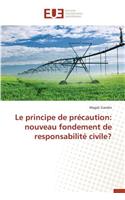 Le Principe de Précaution: Nouveau Fondement de Responsabilité Civile?