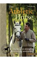 Athletic Horse