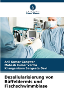 Dezellularisierung von Büffeldermis und Fischschwimmblase