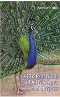 Garden Birds of Delhi, Agra & Jaipur