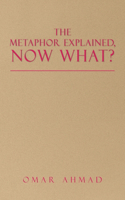 Metaphor Explained, Now What?