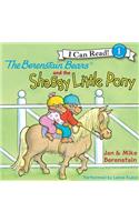 The Berenstain Bears and the Shaggy Little Pony