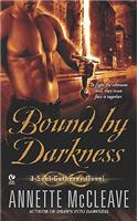 Bound By Darkness: A Soul Gatherer Novel
