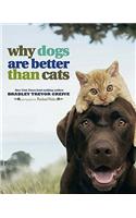Why Dogs are Better Than Cats