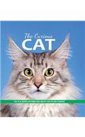 The Curious Cat
