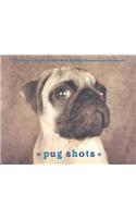 Pug Shots