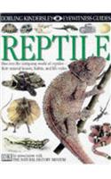 Reptile