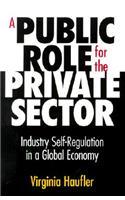 Public Role for the Private Sector: Industry Self-Regulation in a Global Economy