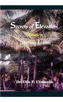 Secrets of Elevation Hidden in Stirring Poems
