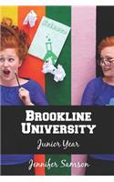 Brookline University: Junior Year