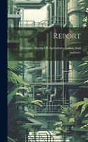 Report