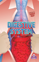 Digestive System: (Looking into the Human Body)