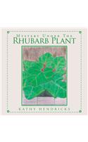 Mystery Under the Rhubarb Plant