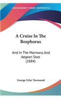 A Cruise In The Bosphorus: And In The Marmora, And Aegean Seas (1884)(English)