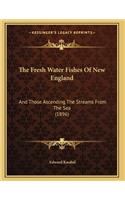 Fresh Water Fishes Of New England