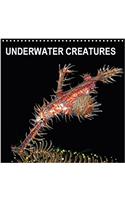 Underwater Creatures 2018