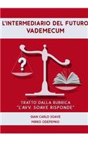 L'Intermediario Del Futuro. Vademecum.