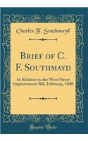 Brief of C. F. Southmayd: In Relation to the West Street Improvement Bill, February, 1880 (Classic Reprint)