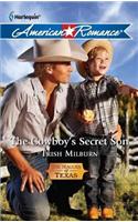 The Cowboy's Secret Son