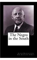 Negro in the South